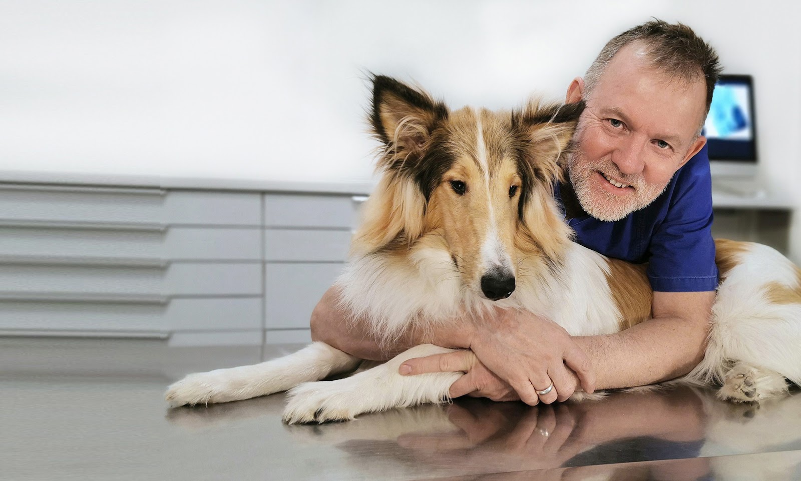 Praxis für Tierzahnheilkunde / Dr. med. vet. Helmut Rux in Berlin – Praxisansicht