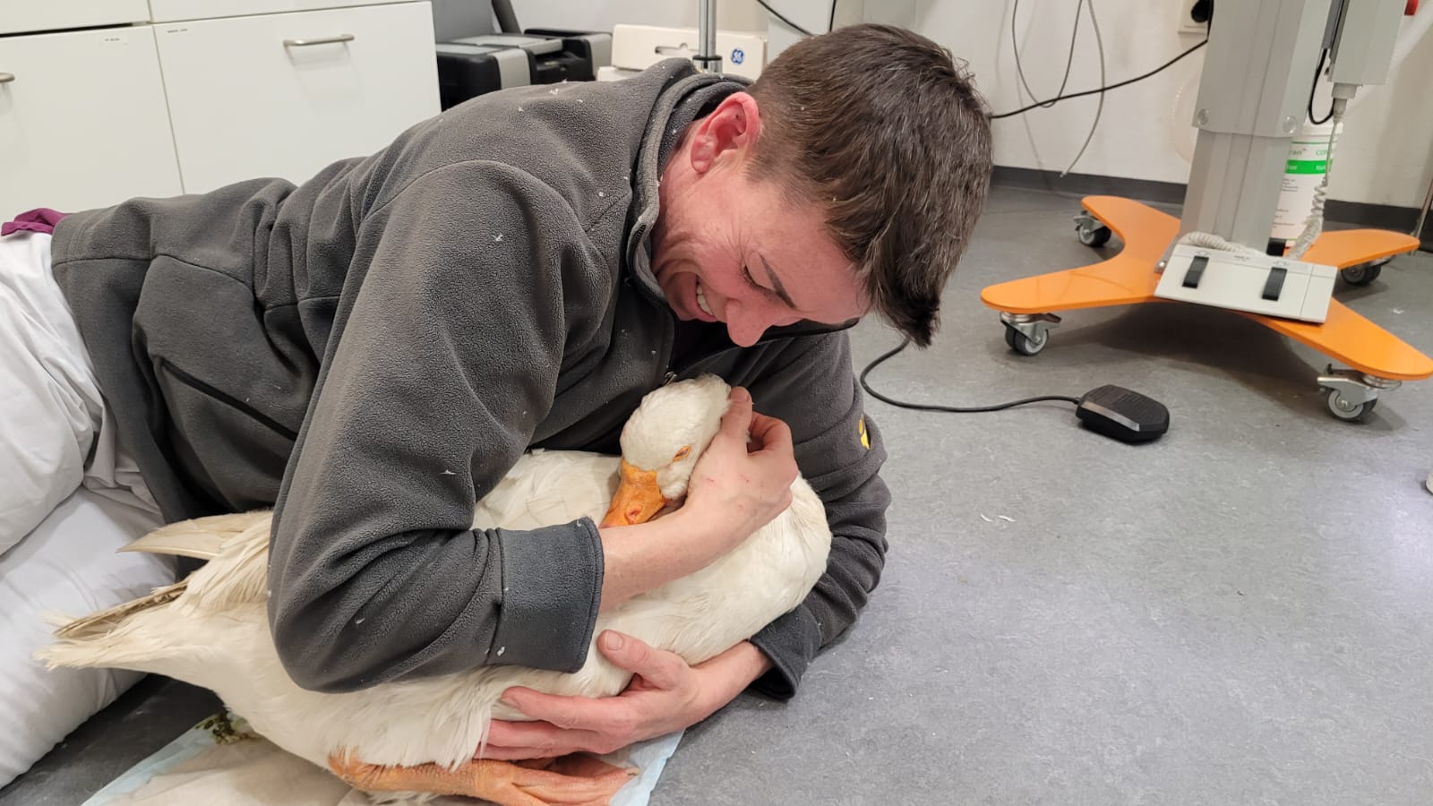 Praxis für Vögel und Reptilien Dr. Carnarius in Berlin – Foto aus einer Patientenbewertung