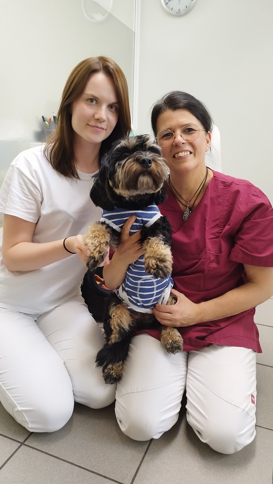 Praxis Tierlieb in Westend in Berlin – Foto aus einer Patientenbewertung