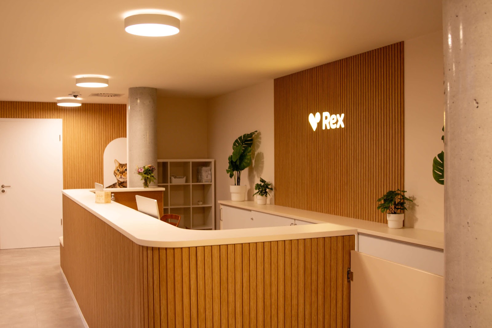 Rex Tierarztpraxis Berlin-Friedrichshain in Berlin – Praxisansicht