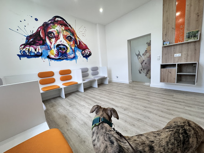 Schieferland - KleinTierPraxis