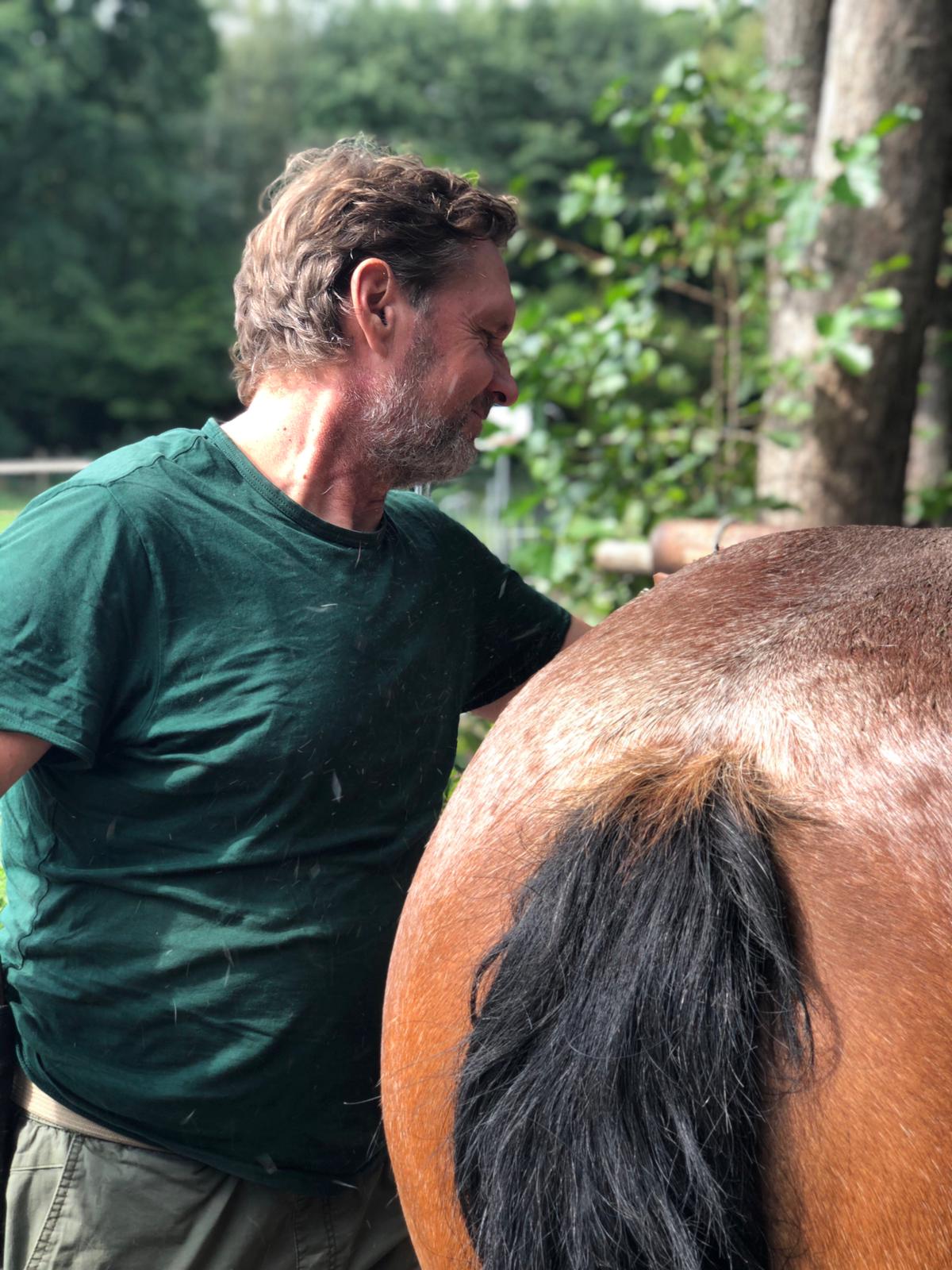 The Healthy Horse in Berlin – Foto aus einer Patientenbewertung