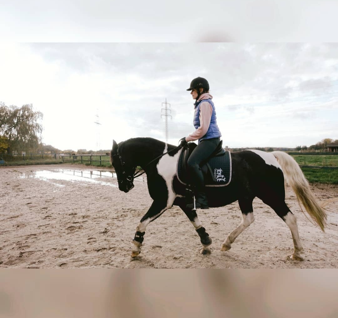 The Healthy Horse in Berlin – Foto aus einer Patientenbewertung
