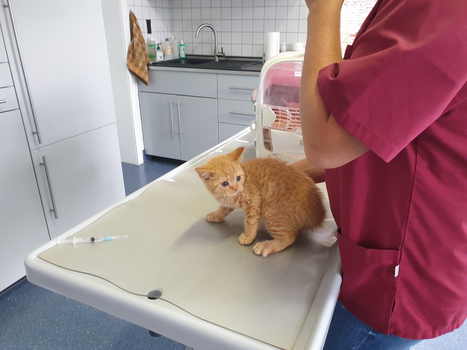 Thorsten Schröder, Tierarzt in Frechen – Praxisansicht