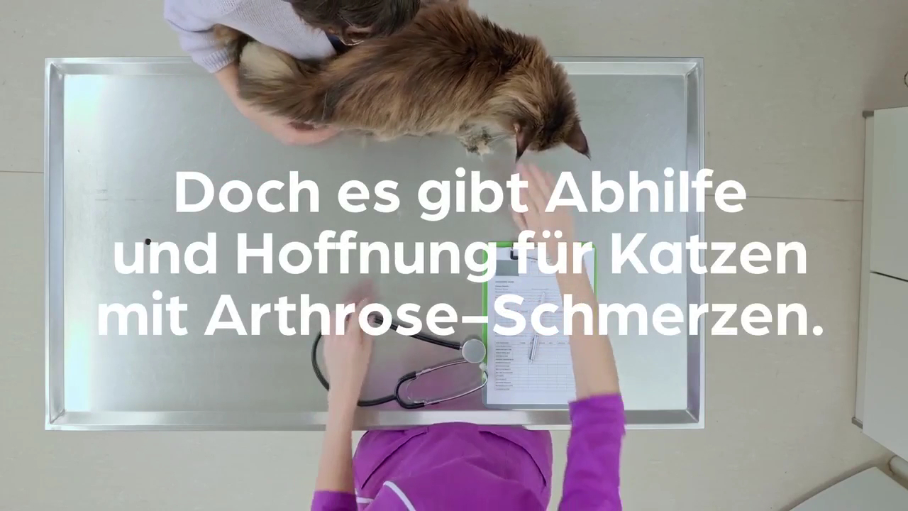 Tierarzt Dr. Jasmin Riemel in Bonn – Praxisfoto 2