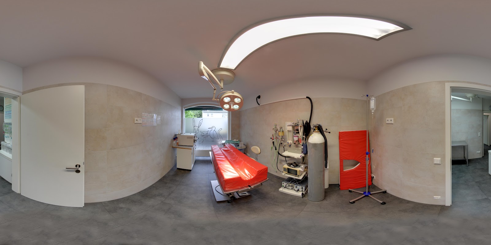 Tierarzt Dr. Jasmin Riemel in Bonn – Praxisfoto 3