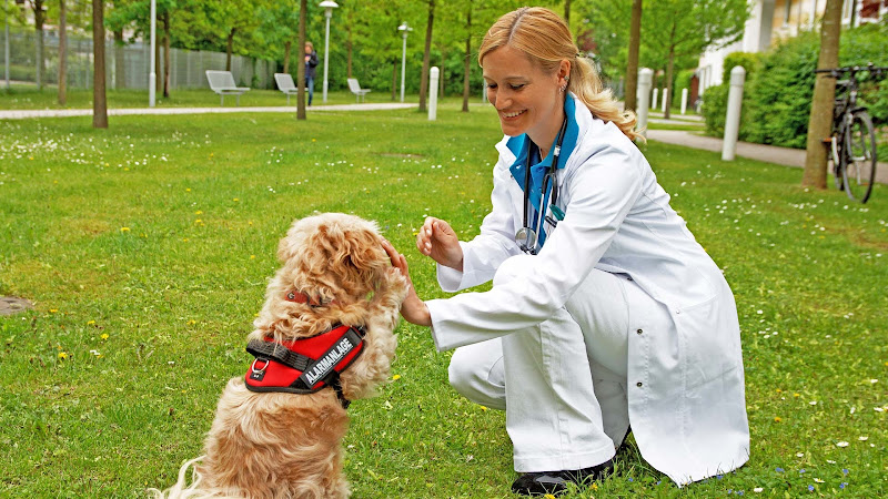 Tierarzt für Innere Medizin Dr. Christine Kempf
