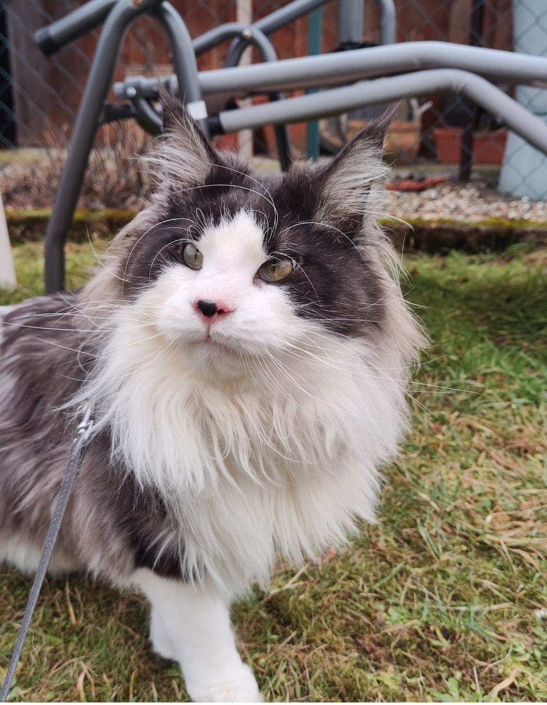 Tierarzt in Dormagen: Dr. Tomas Schwarz in Dormagen – Praxisfoto 2