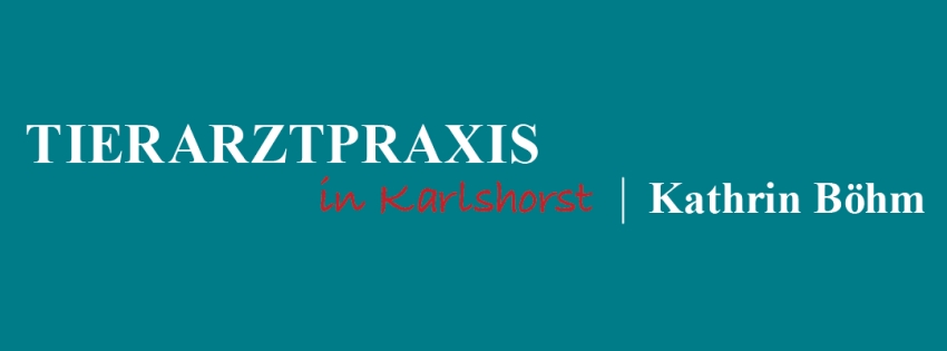 Tierarzt Kathrin Böhm in Berlin – Praxisfoto 1