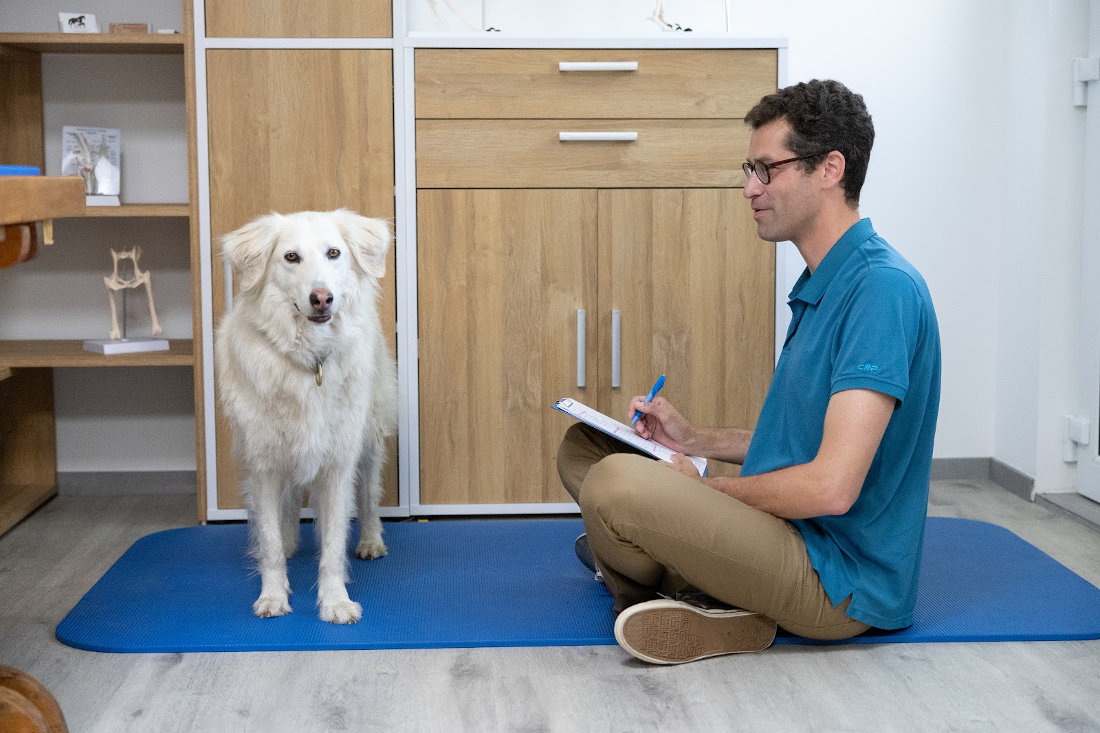 Tierarzt Maximilian Welter - Manualtherapie für Pferd & Hund in Köln – Praxisfoto 1