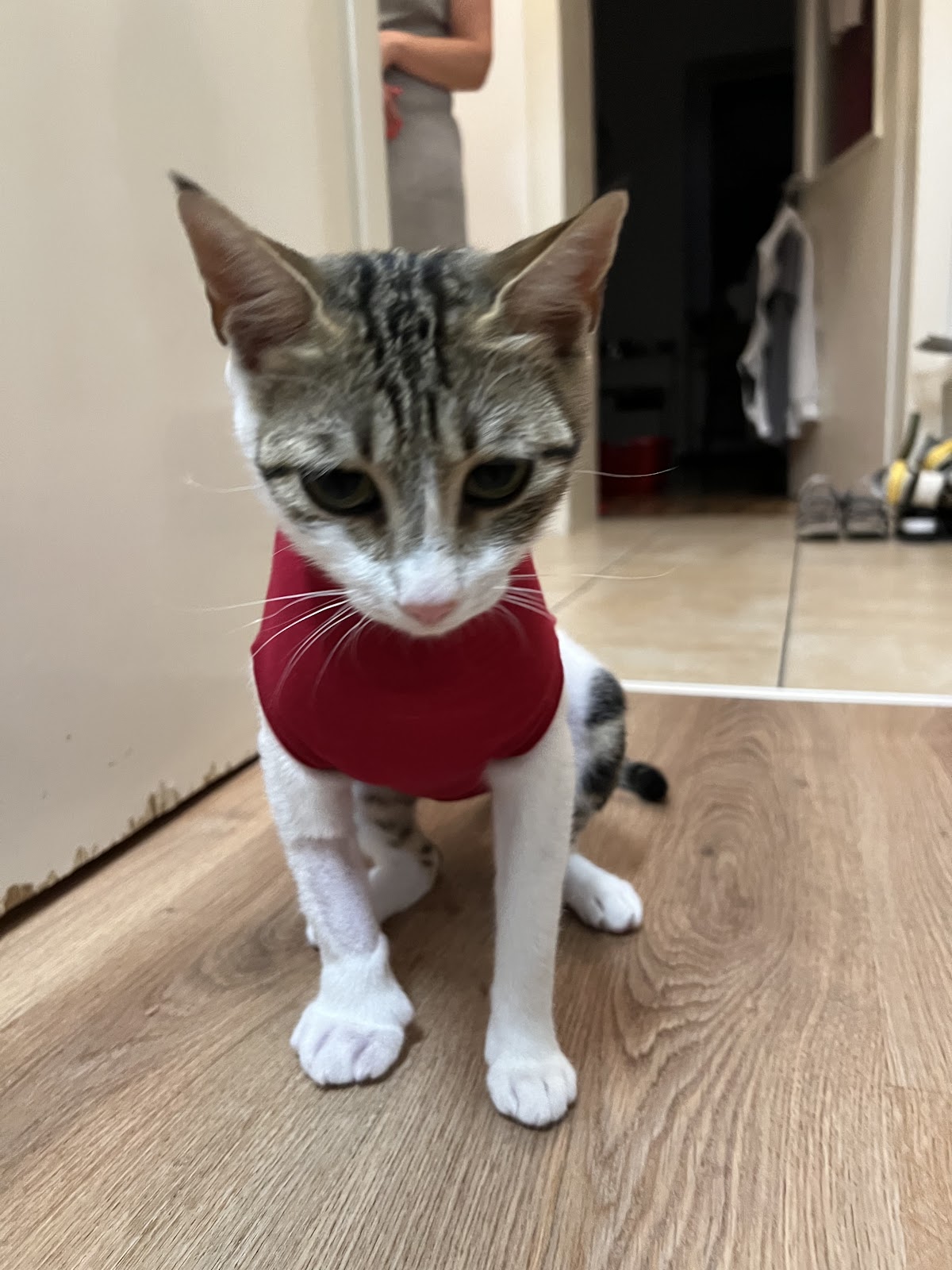 Tierarzt-Notfallpraxis für Haustiere in Düsseldorf in Düsseldorf – Foto aus einer Patientenbewertung