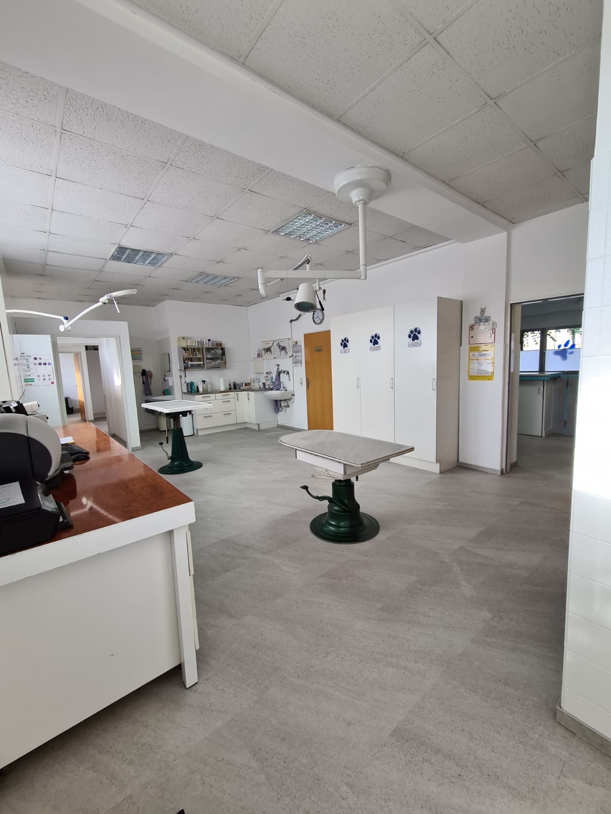 Tierarzt-Notfallpraxis für Haustiere in Düsseldorf in Düsseldorf – Praxisansicht