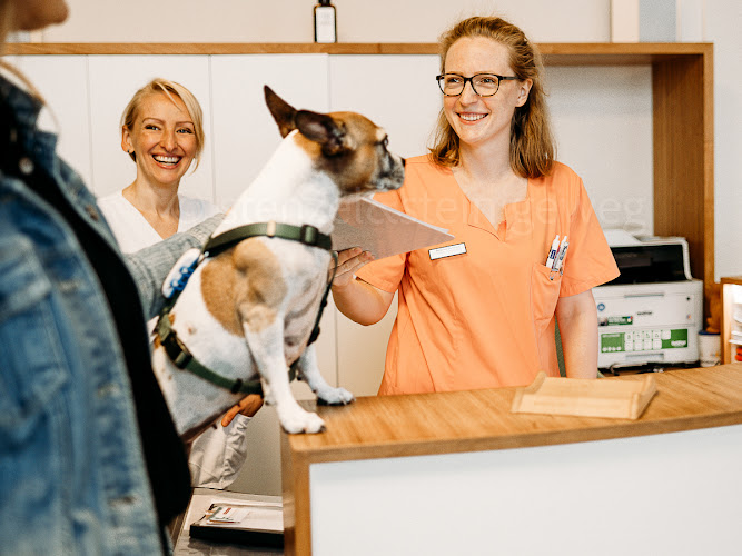 Tierarzt Stolle-Malorny & Vöster Berlin-Wilmersdorf