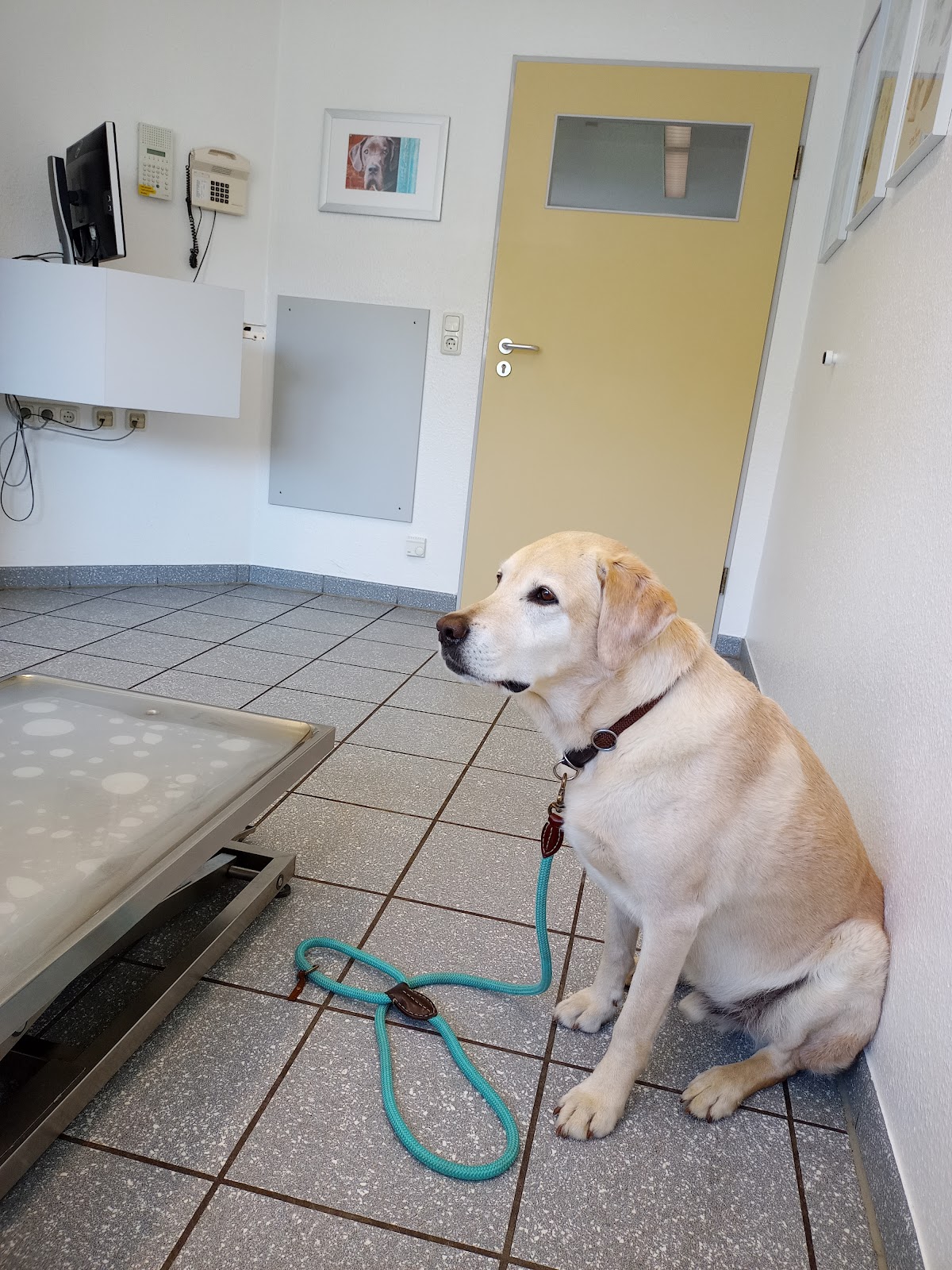 Tierarzt Wilmering Neuss, Kleintierpraxis Weberstraße in Neuss – Praxisfoto 1