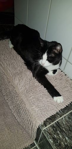 Tierärzte MOBIL Nürnberg