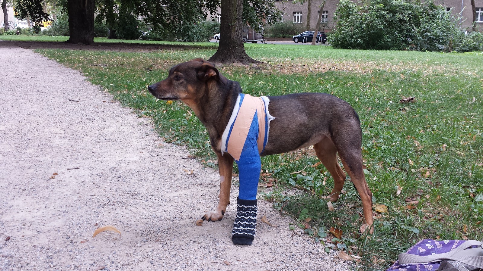 Tierärzte Steglitz in Berlin – Praxisansicht