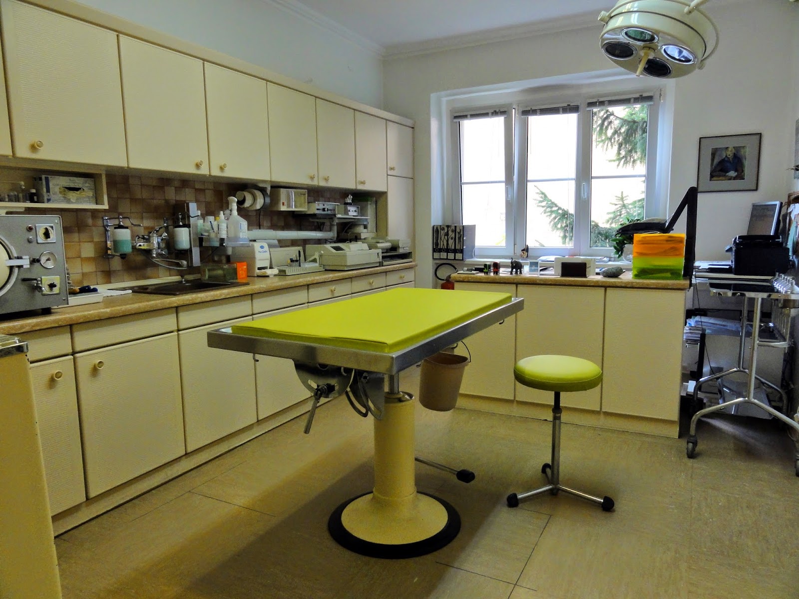 Tierärztin Dr. Ulla Olsen in Berlin – Praxisfoto 1
