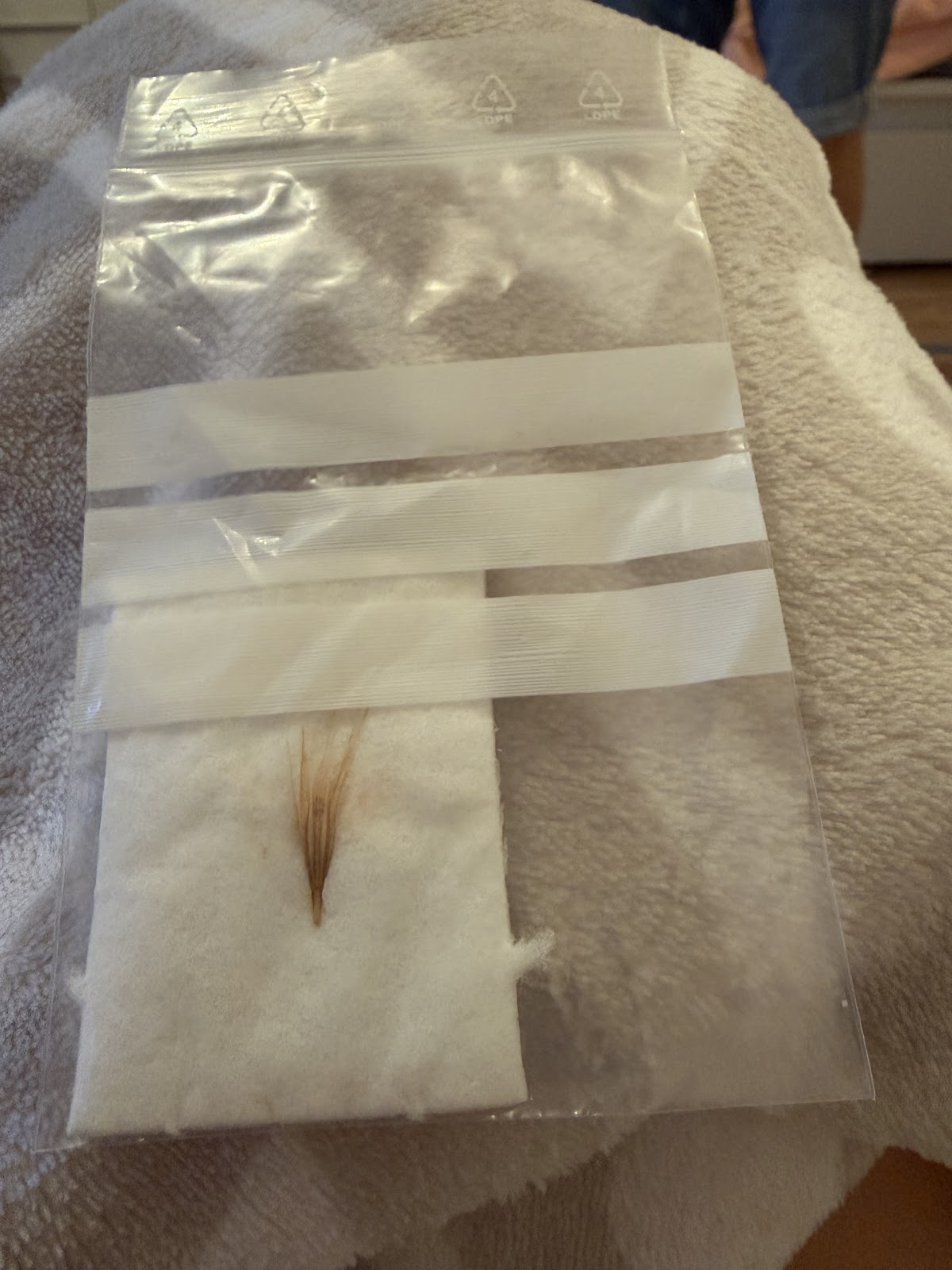 Tierärztliche Gemeinschaftspraxis An der Kapelle in Köln – Foto aus einer Patientenbewertung