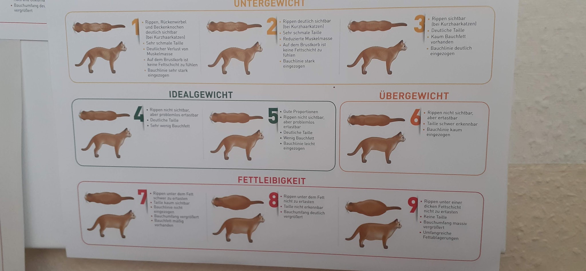 Tierärztliche Gemeinschaftspraxis Dr. L. Ladehoff & Dr. J. Vieth – Bild