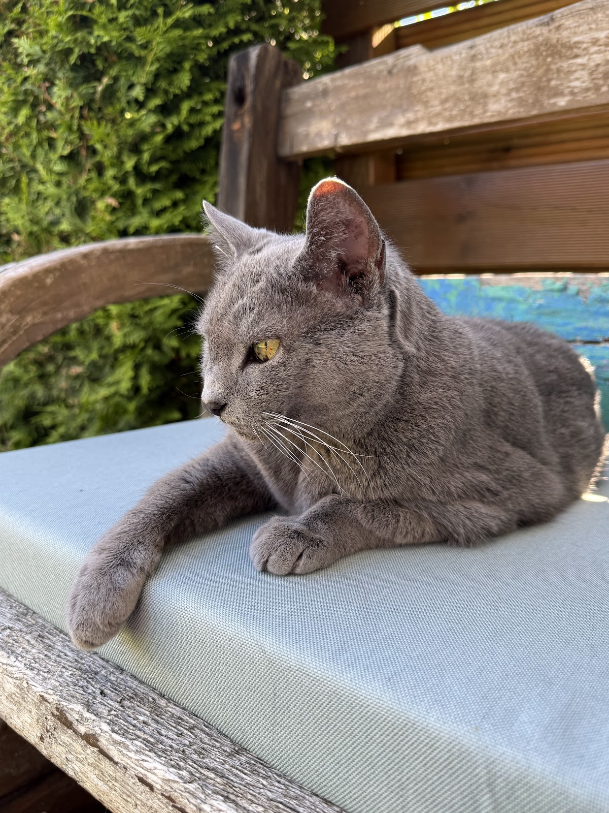 Tierärztliche Gemeinschaftspraxis Dr. Ralph Deuster und Sabine Deuster in Hürth – Foto aus einer Patientenbewertung