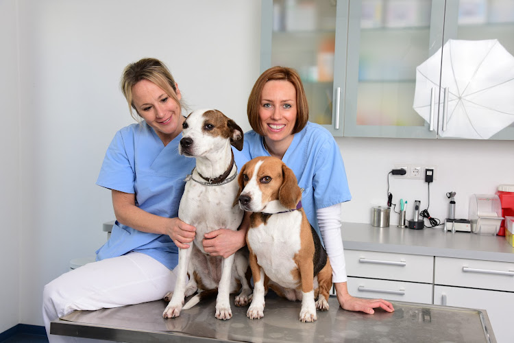 Tierärztliche Gemeinschaftspraxis Dr. Yvonne Sepp und Dr. Regine Volz