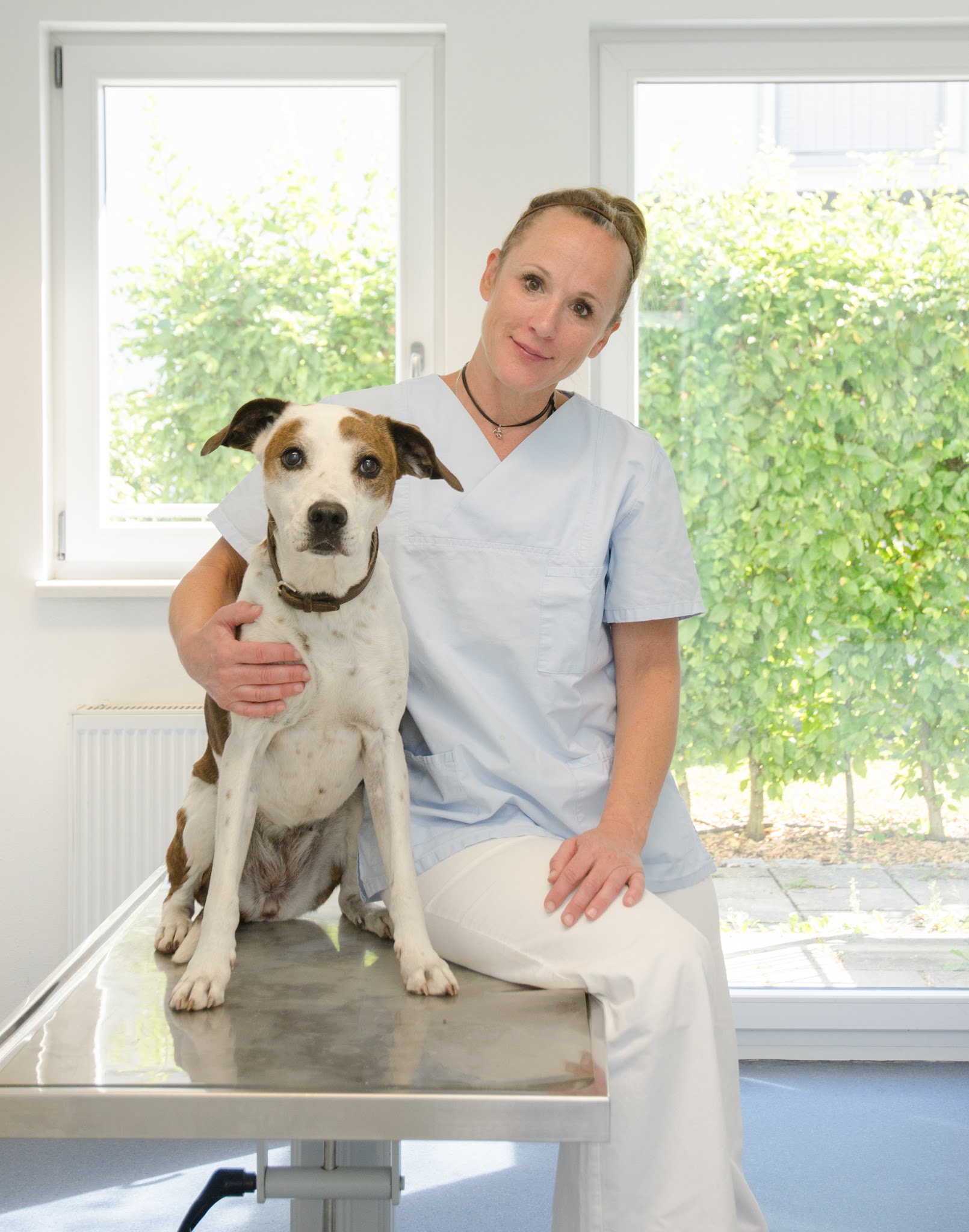 Tierärztliche Gemeinschaftspraxis Dr. Yvonne Sepp und Dr. Regine Volz – Bild