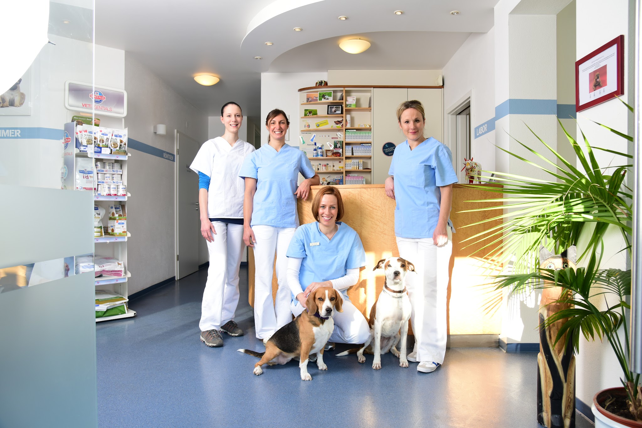 Tierärztliche Gemeinschaftspraxis Dr. Yvonne Sepp und Dr. Regine Volz – Bild