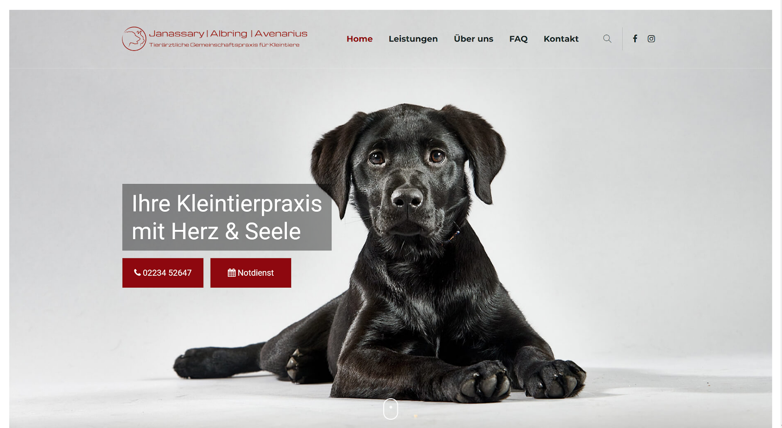 Tierärztliche Gemeinschaftspraxis für Kleintiere Janassary Albring Dr. Avenarius in Frechen – Praxisansicht
