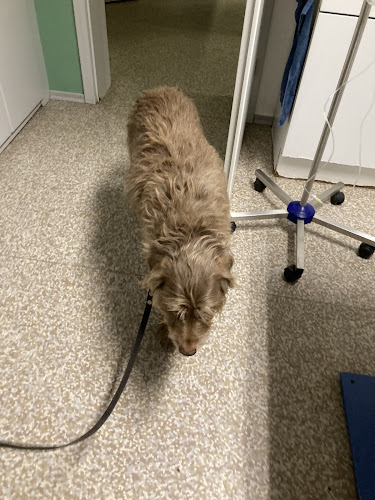 Tierärztliche Gemeinschaftspraxis Hans-Peter Fuchs & Dr. Jasmin Schrötter