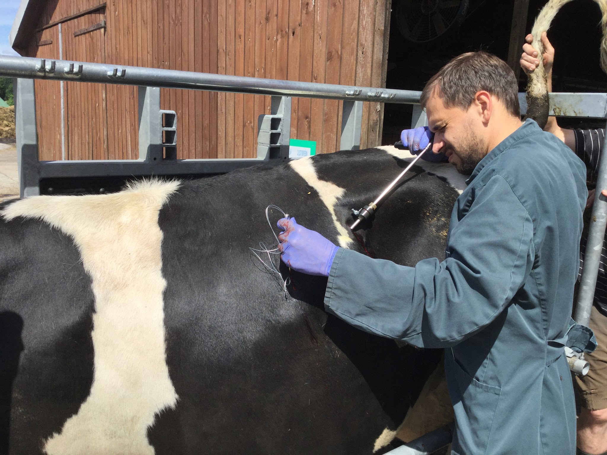 Tierärztliche Gemeinschaftspraxis Vetplan Mielke, Pudlas & Stien – Bild