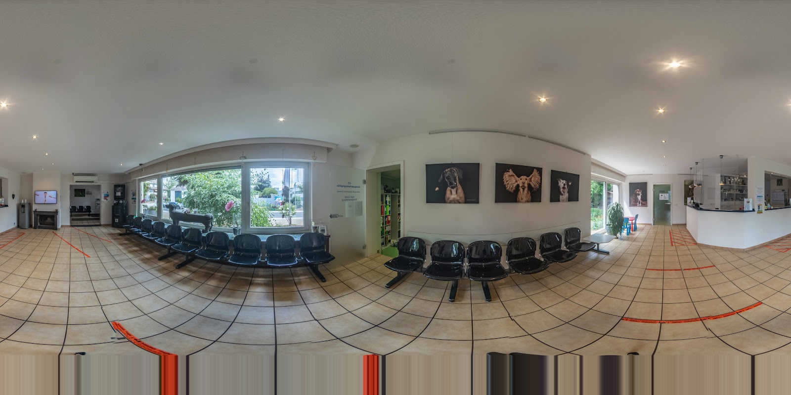 Tierärztliche Klinik für Kleintiere - Leverkusen in Leverkusen – Praxisfoto 1