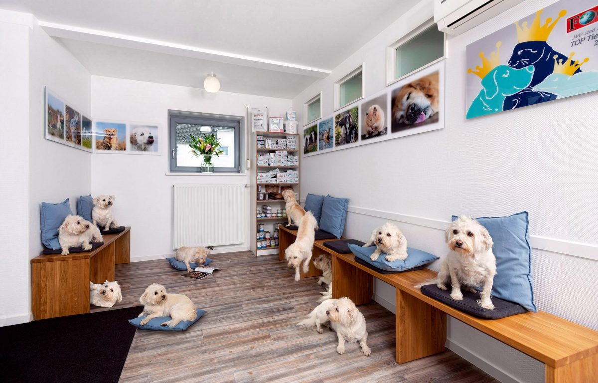 Tierarztpraxis Allerheiligen in Neuss – Praxisfoto 1