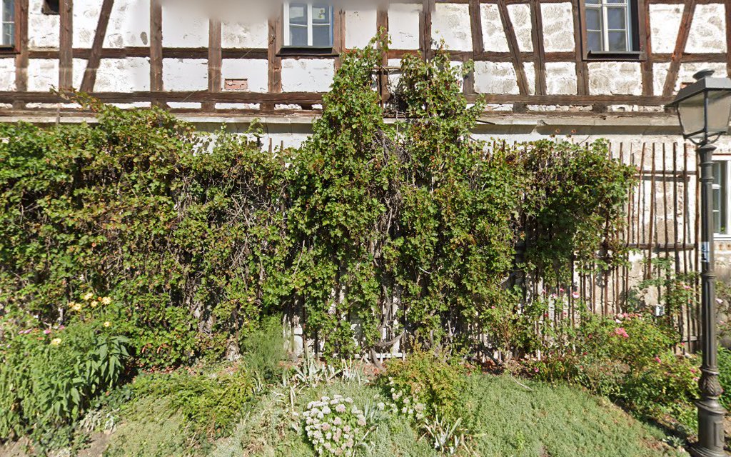 Tierarztpraxis am Ahorner Schloss – Bild
