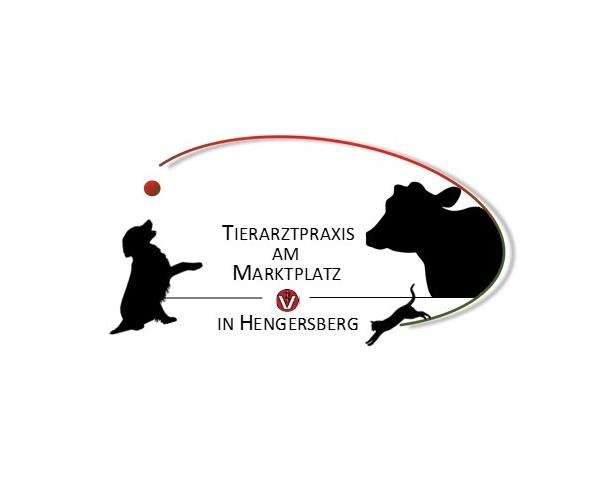 Tierarztpraxis am Marktplatz – Bild