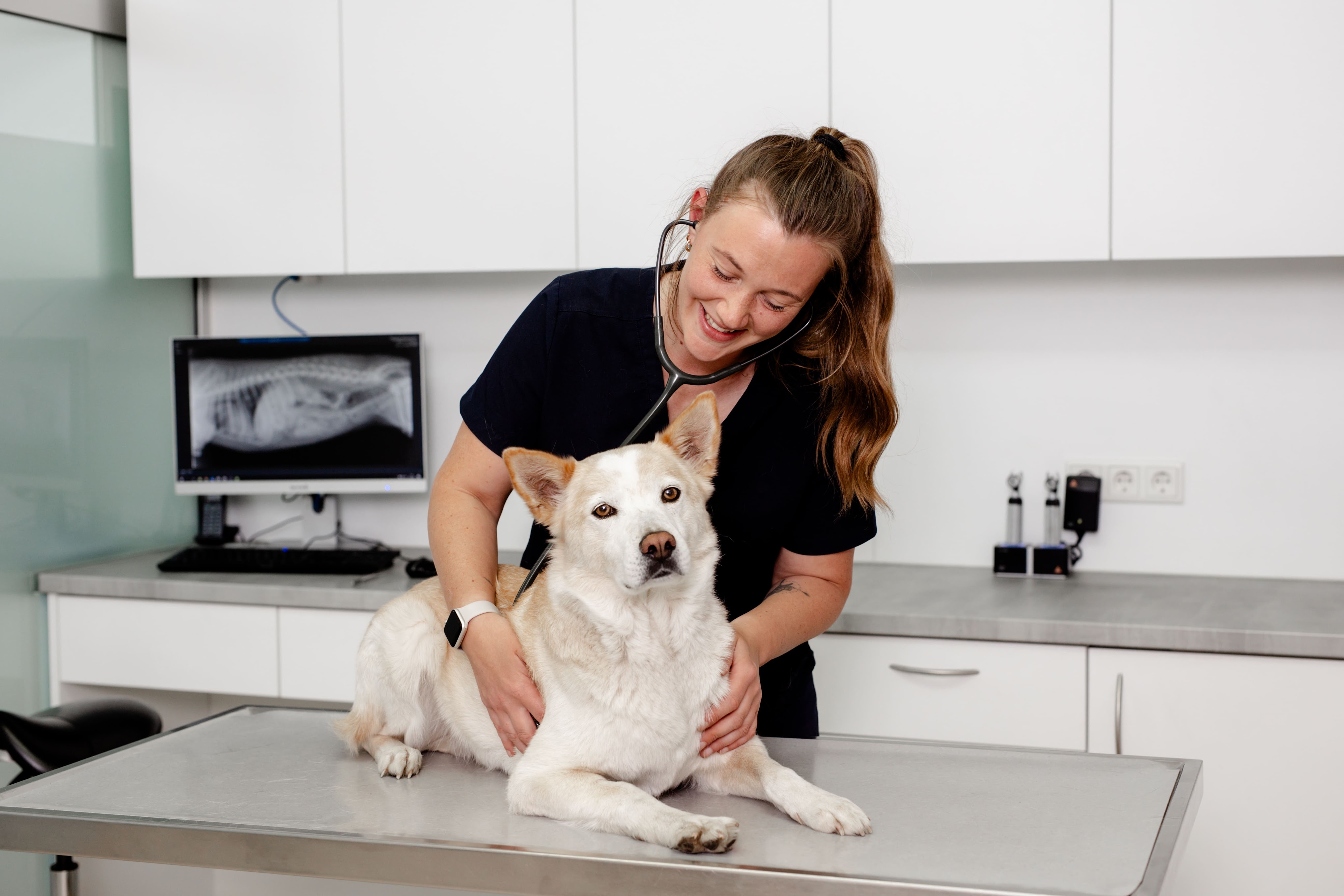 Tierarztpraxis am Mülheimer Stadtgarten