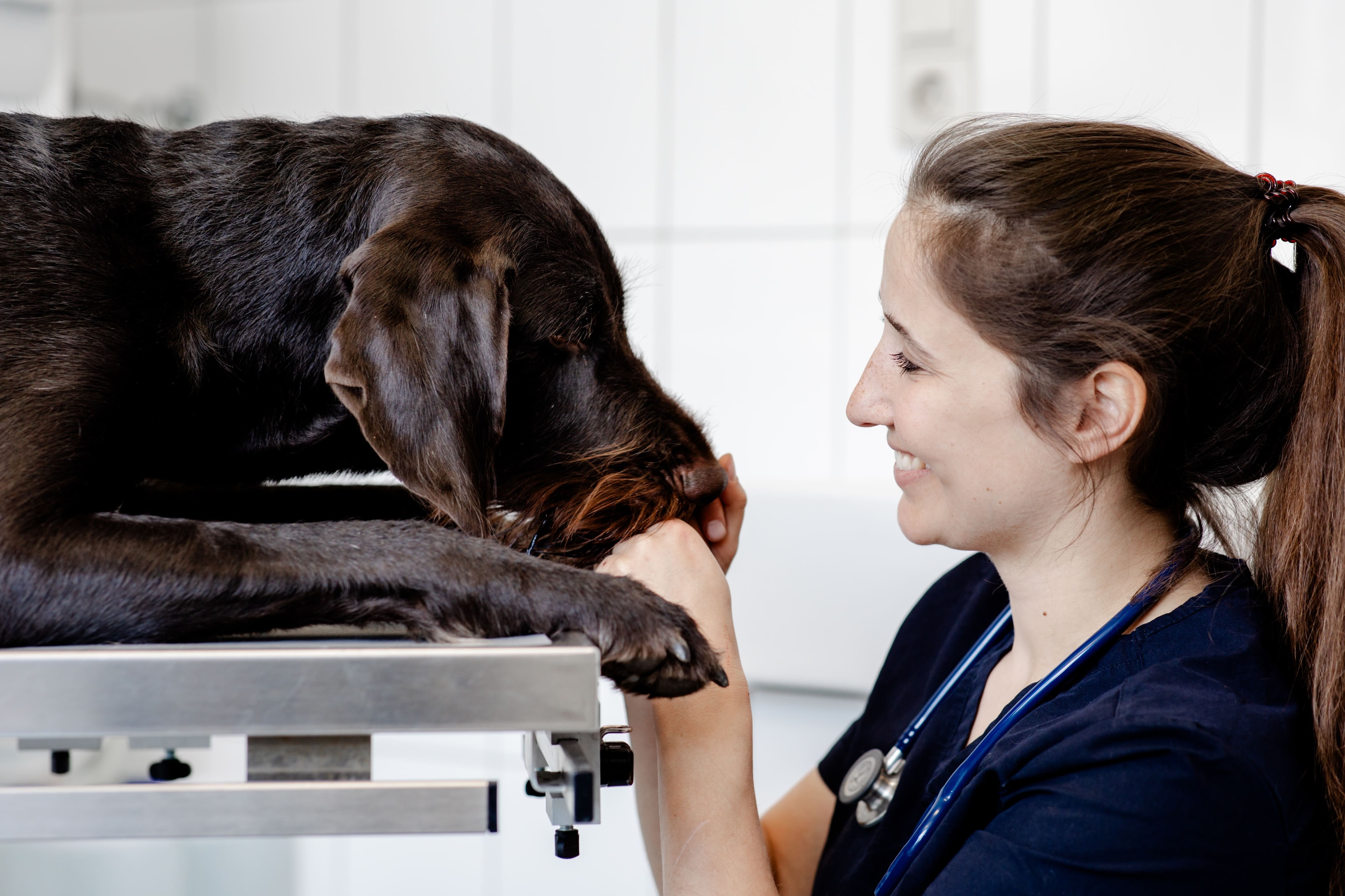 Tierarztpraxis am Nippeser Tälchen