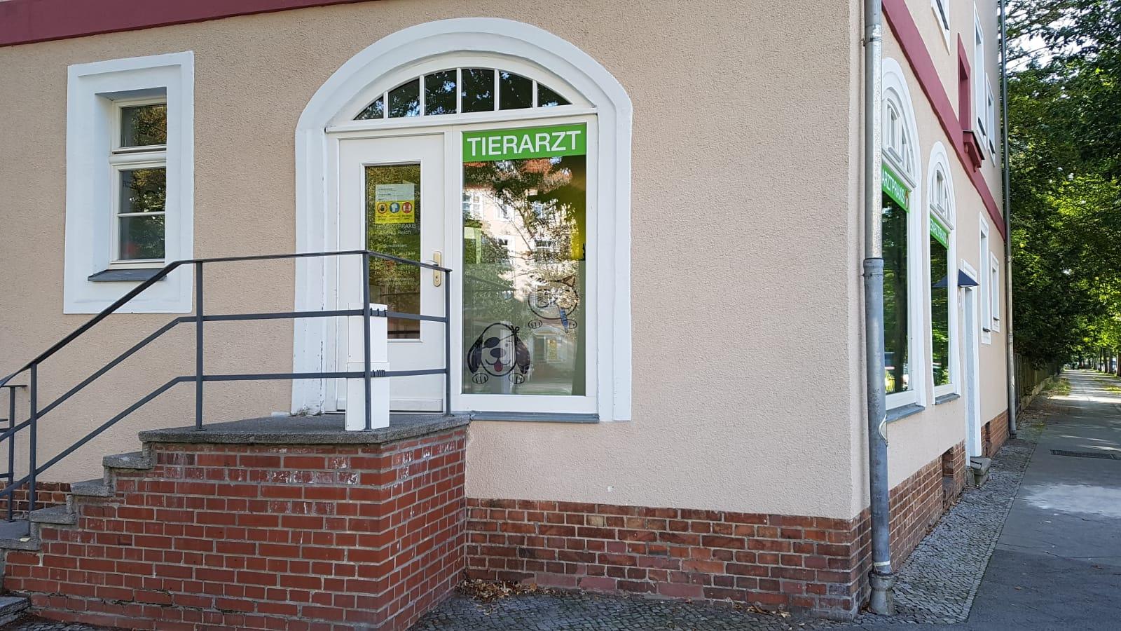 Tierarztpraxis Andrea Reich in Berlin – Praxisansicht