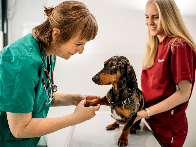 Tierarztpraxis Bärenwiese, Tierarzt Berlin-Wilmersdorf