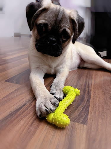 Tierarztpraxis Berg am Laim