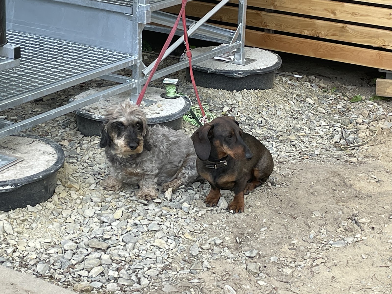 Tierarztpraxis in Mühlenbecker Land – Foto aus einer Patientenbewertung