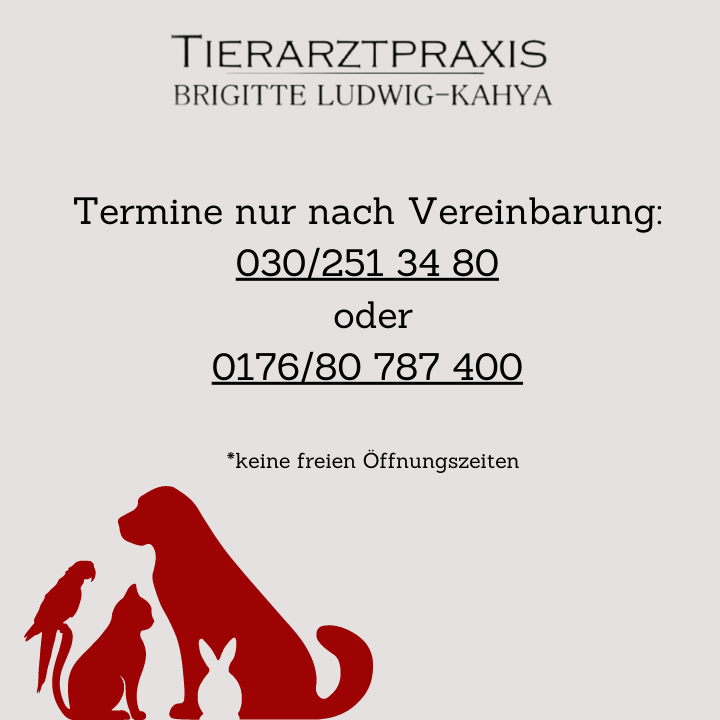 Tierarztpraxis Brigitte Ludwig-Kahya in Berlin – Praxisansicht