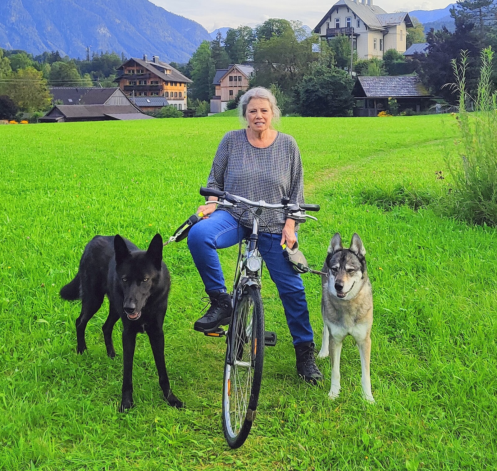 Tierarztpraxis Cordula Günther in Berlin – Praxisansicht