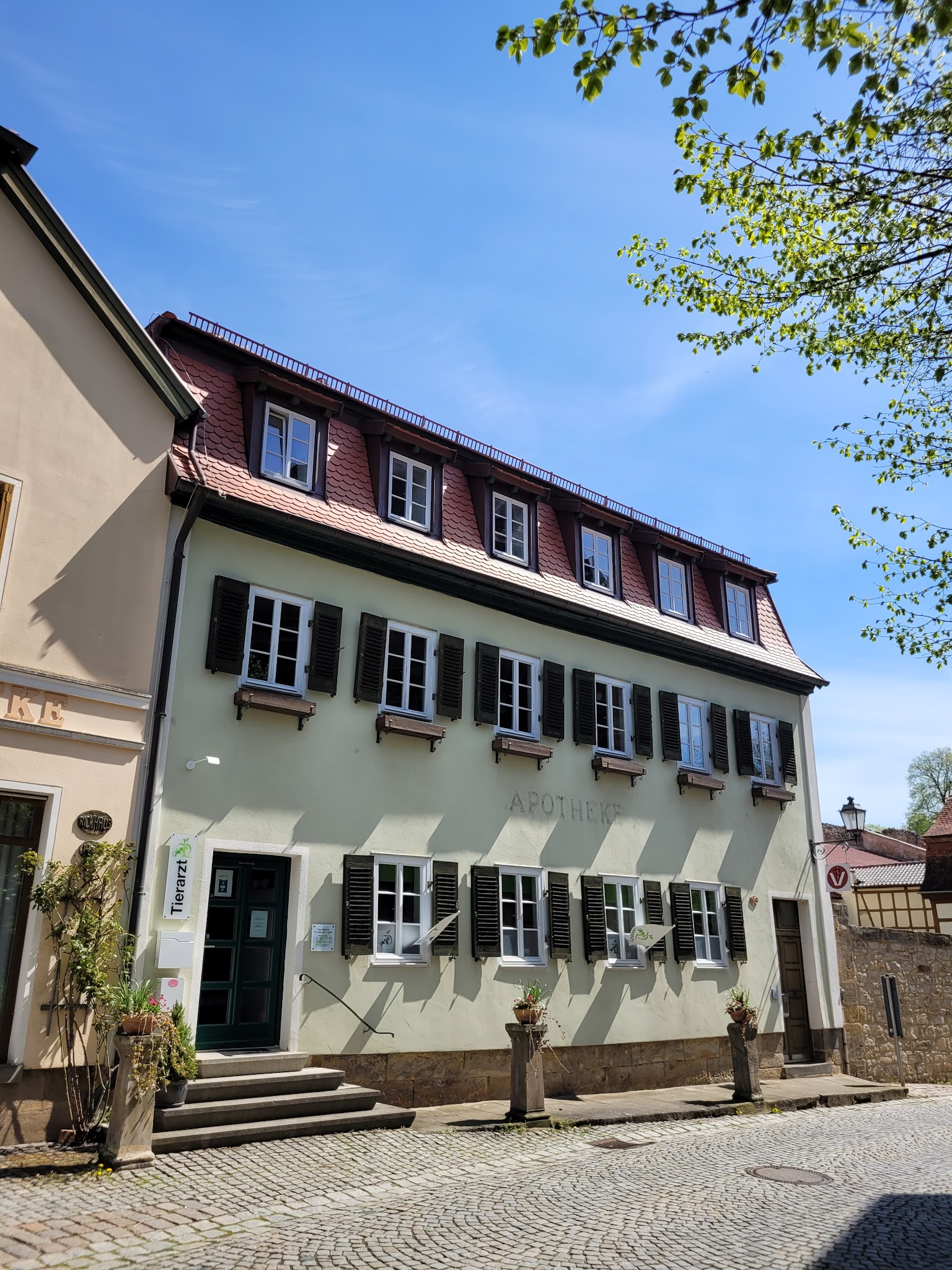 Tierarztpraxis Dr. Apfel – Bild