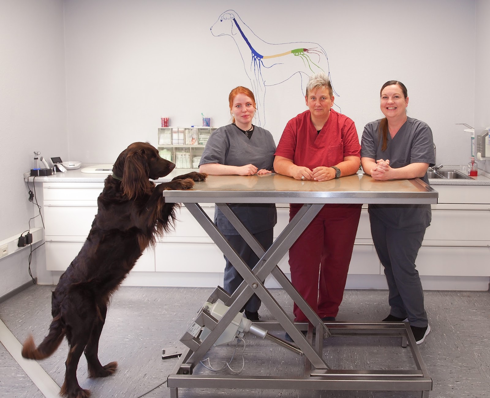 Tierarztpraxis Dr. Bettina Reuter in Bergisch Gladbach – Praxisfoto 1