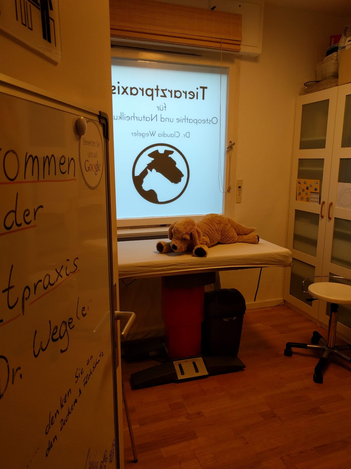 Tierarztpraxis Dr. Claudia Wegeler in Berlin – Praxisfoto 2