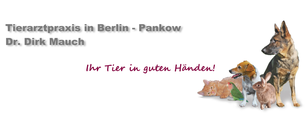 Tierarztpraxis Dr. Dirk Mauch in Berlin – Praxisfoto 3