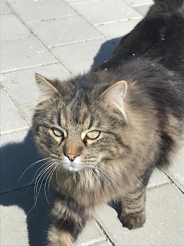 Tierarztpraxis Dr. Eichelberger Michael