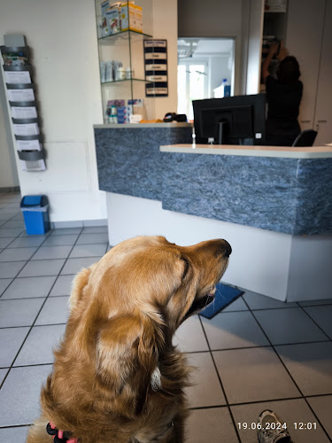 Tierarztpraxis Dr. Erdmute Lipper