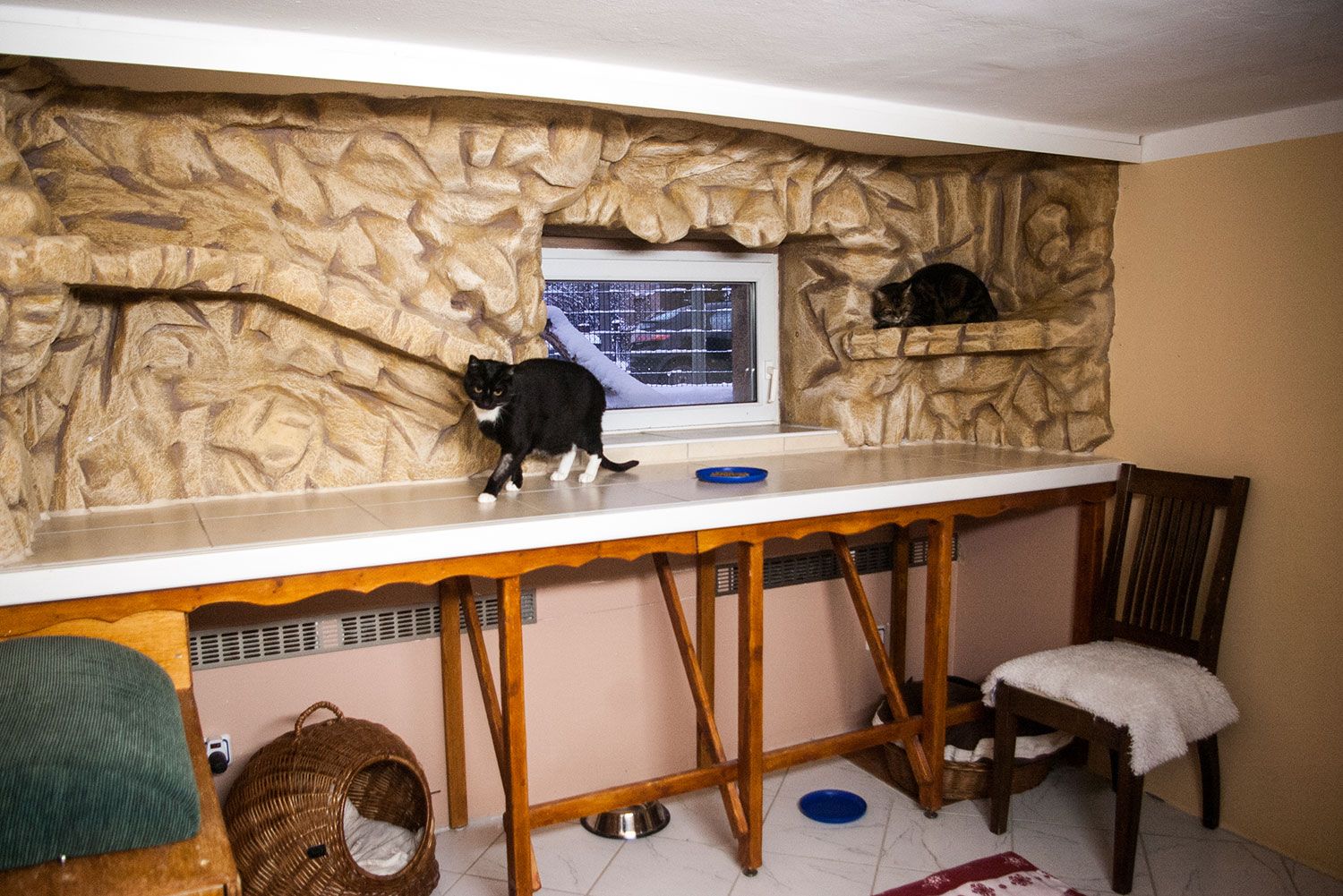 Tierarztpraxis Dr. K. Schalla und Katzenpension in Berlin – Praxisansicht