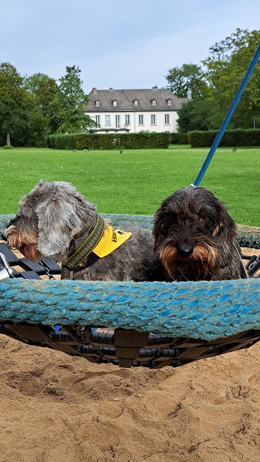 Tierarztpraxis Dr. Keßler in Wesseling – Praxisfoto 1